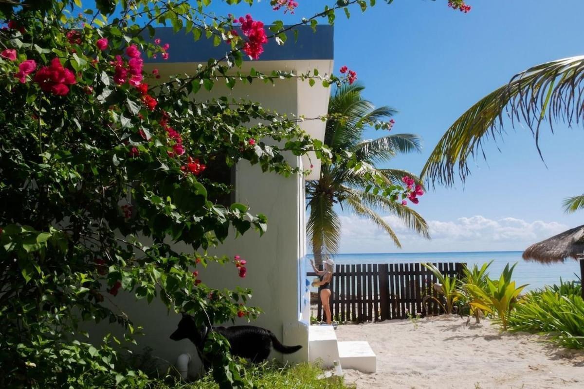 Villa Pronoia Casa De Playa Mahahual Exterior foto